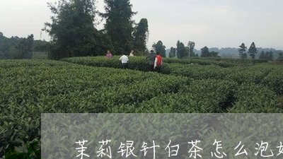 茉莉银针白茶怎么泡好喝/2023032835059