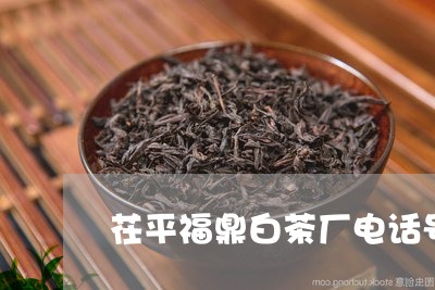 茌平福鼎白茶厂电话号码/2023032802403