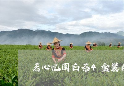 茗心忆园白茶4盒装的价格/2023033164727