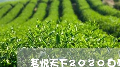 茗悦天下2020白毫银针/2023033027169