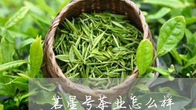 茗星号茶业怎么样/2023041339595