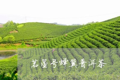 茗星号蝉翼普洱茶/2023031668794