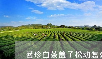 茗珍白茶盖子松动怎么办/2023032895846