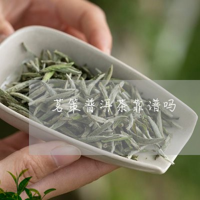 茗策普洱茶靠谱吗/2023033198361