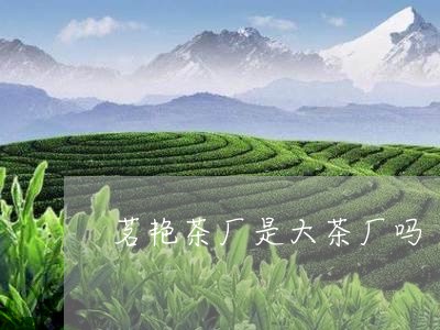 茗艳茶厂是大茶厂吗/2023041683704