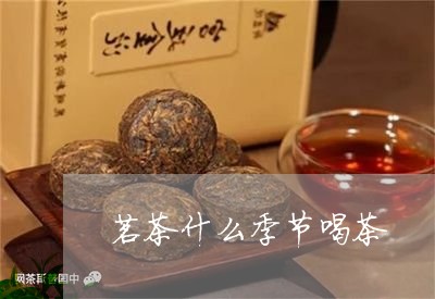 茗茶什么季节喝茶/2023032477258