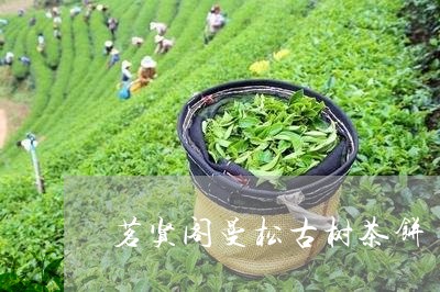 茗贤阁曼松古树茶饼/2023041534259