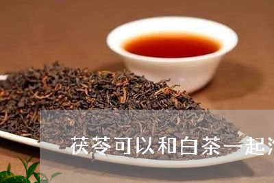 茯苓可以和白茶一起泡吗/2023032805936