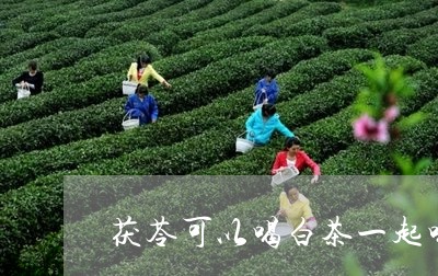 茯苓可以喝白茶一起喝吗/2023032891729