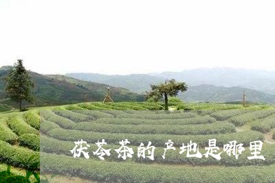 茯苓茶的产地是哪里/2023032161696