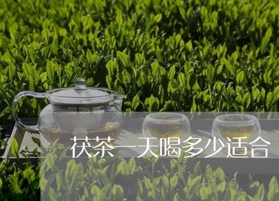 茯茶一天喝多少适合/2023041437249