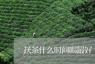 茯茶什么时间喝最好/2023031881716