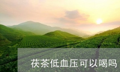 茯茶低血压可以喝吗/2023041452592