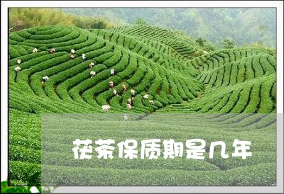 茯茶保质期是几年/2023032437359