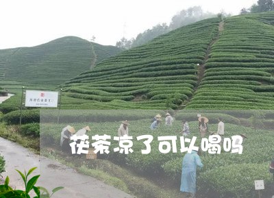 茯茶凉了可以喝吗/2023032229793