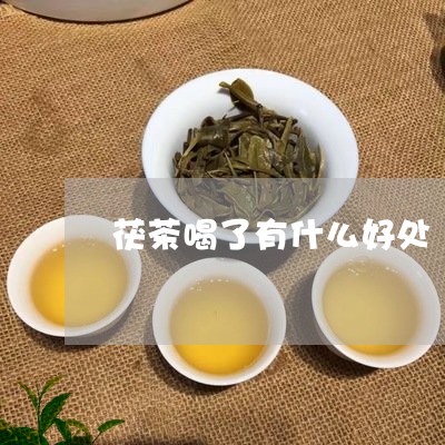 茯茶喝了有什么好处/2023041502926