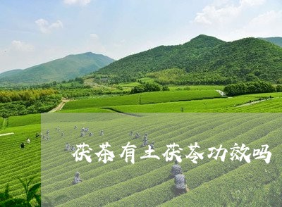 茯茶有土茯苓功效吗/2023031971694