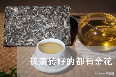 茯茶砖好的都有金花/2023032038612