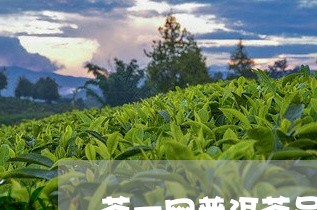 茶一网普洱茶品牌/2023031750482