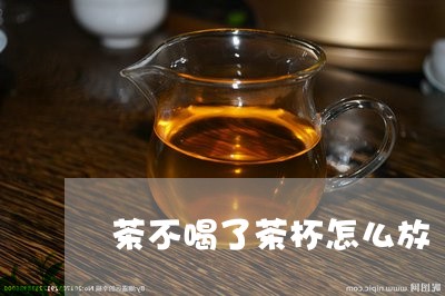 茶不喝了茶杯怎么放/2023041428370