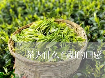 茶为什么有甜的口感/2023031915180