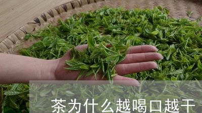 茶为什么越喝口越干/2023041419595