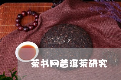 茶书网普洱茶研究/2023041179412