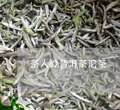 茶人岭普洱茶沱茶/2023040918581