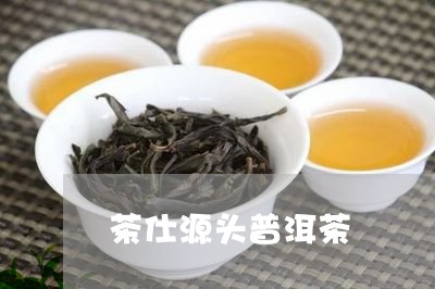 茶仕源头普洱茶/2023041316481