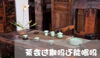 茶会过期吗还能喝吗/2023041427481