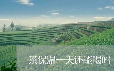 茶保温一天还能喝吗/2023031884927