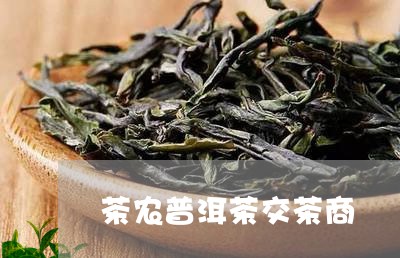 茶农普洱茶交茶商/2023040935026