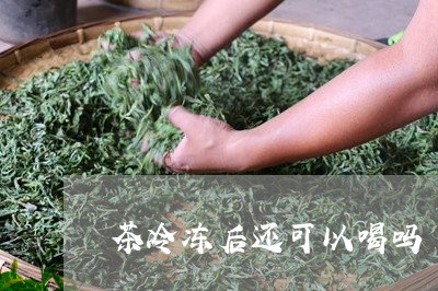 茶冷冻后还可以喝吗/2023041421593