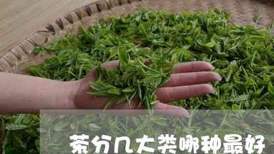 茶分几大类哪种最好/2023041710682