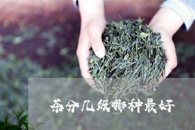 茶分几级哪种最好/2023032403046