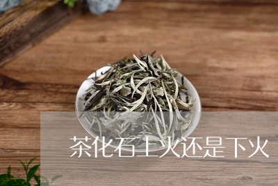 茶化石上火还是下火/2023041622594