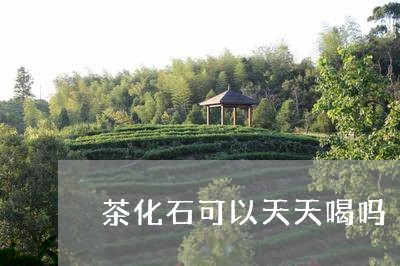 茶化石可以天天喝吗/2023041680575