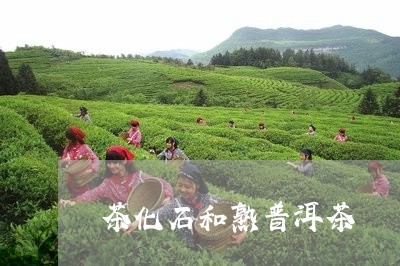 茶化石和熟普洱茶/2023041207251