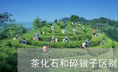 茶化石和碎银子区别/2023041683936