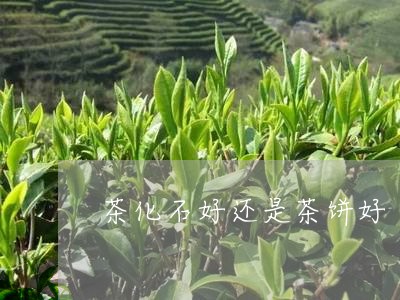 茶化石好还是茶饼好/2023041676148