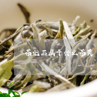 茶化石属于什么茶类/2023032292726