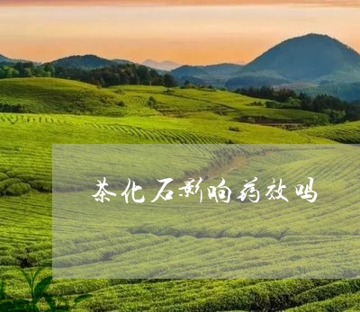 茶化石影响药效吗/2023032400315