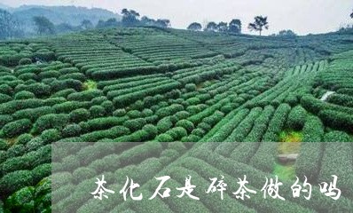 茶化石是碎茶做的吗/2023032117189