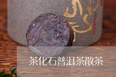 茶化石普洱茶散茶/2023041058259