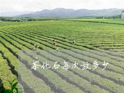 茶化石每次放多少/2023032469261