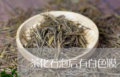 茶化石泡后有白色膜/2023041653706