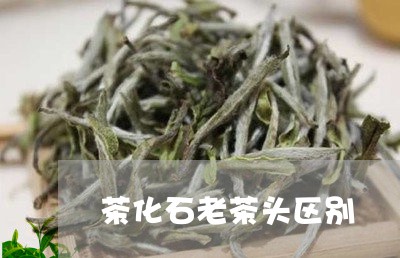 茶化石老茶头区别/2023032538369