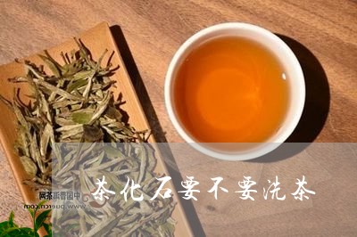 茶化石要不要洗茶/2023032480525