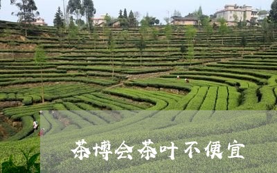 茶博会茶叶不便宜/2023032546060