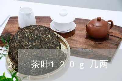 茶叶120g几两/2023032663847